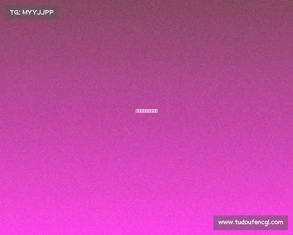 汽车越野大赛有哪些