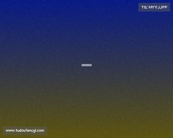 积分赛比赛规则