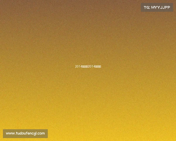 2014赛事表—2014决赛比分