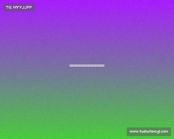 回顾崔洪万格斗生涯巅峰十大赛事精彩瞬间与传奇故事